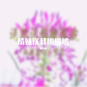 送郎送到橄榄坡