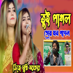 তুই পাগল তোর মন পাগল পাগল পাগল করিস না