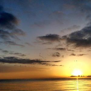 我只想躲在你身后默默承受