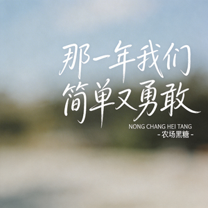 那一年我们简单又勇敢 （原版）