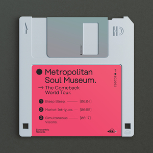 Simultaneous Visions