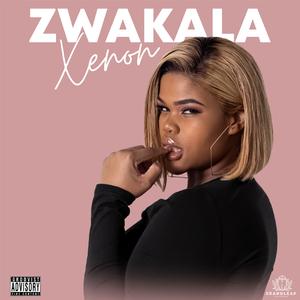 Nay'ngozi (feat. Mluusician)