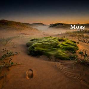 Moss