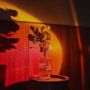 爱情秘方(prodby多芬Dolbeatz)