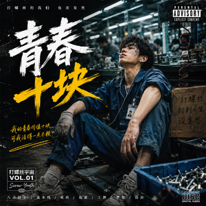 我的青春价值十块