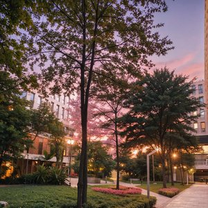 爱待风暴洗礼-丁志富