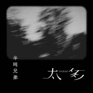 太多 (DJ久乐版)