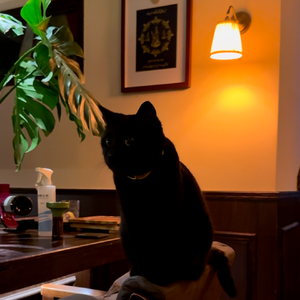 凌晨四点的窗前