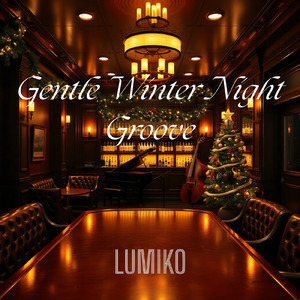 Gentle Winter Night Groove