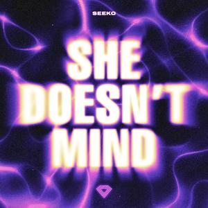 She Doesn't Mind (Techno)