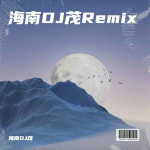 典狱司（海南DJ茂 remix）