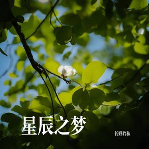 星辰之梦