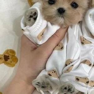 witchblades (Slowed + Reverb)