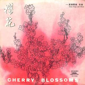 木棉花开时我一定来