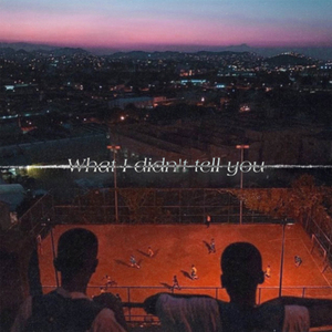 What I didn’t tell you