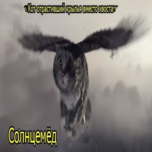 Морской бой