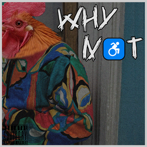 ♿why not♿（Woaze remix）