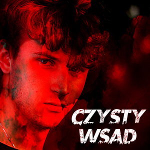 CZYSTY WSAD