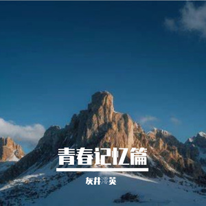 我的温柔刚好抵你半生漂泊