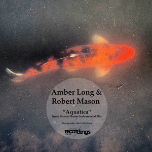 Aquatica (Jamie Stevens Bonus Instrumental Mix)