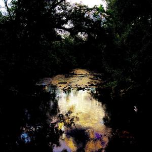 Best Friends / Family