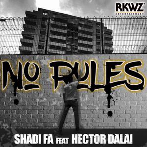 No Rules (feat. Shadi Fa)