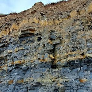 The US Field Hospital Song