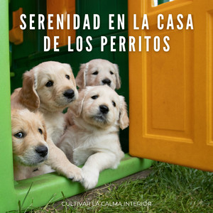 Tranquilidad Para Mover Colas