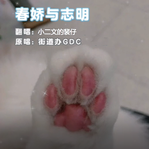 田力Tini-春娇与志明(remax)（小二文的裴仔 remix）