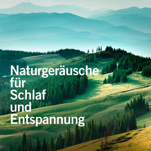 Flussgeräusche: Wind über dem Strom