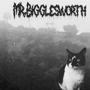 Mr.Bigglesworth