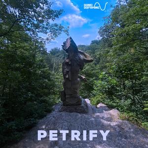 Petrify (2025 JW Remix)