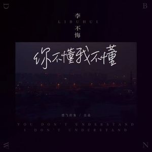 你不懂我不懂