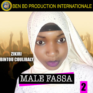 Male Fassa 2