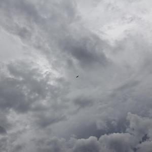 magnolia+说句实话