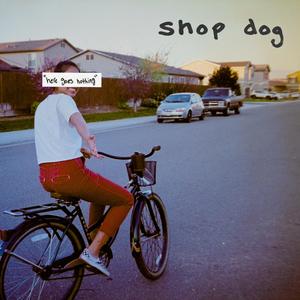 why won't you just admit it