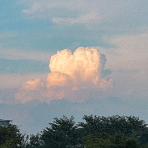 고백하고 싶은데(Inst.)