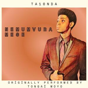 Nemumvura Mese (Afrobeats Remix)