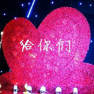 给你们（Cover 张宇）