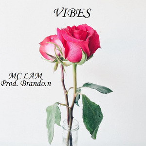 Vibes