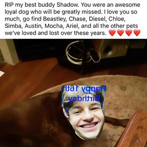 12 Dead Dogs (feat. Jimmy Jawn & GouyNipple)