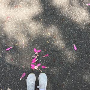 一个人想着一个人