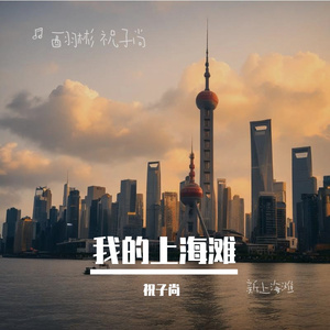 我的上海滩