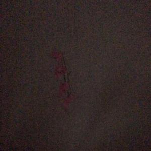 cut urself (feat. Zinful & Solstic)