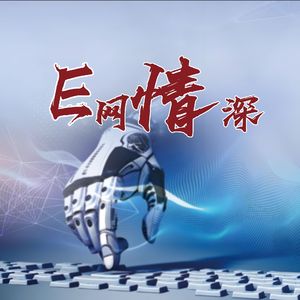 E网情深