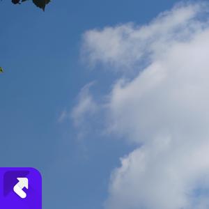 母亲（国风版）