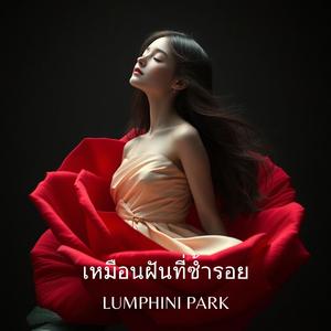 เหมือนฝันที่ซ้ำรอย