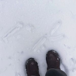 雪demo