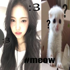 “豌豆公主”-New Glo&ian&卡力老虎&africakid&迪诺哥&李文 Type Beat