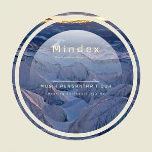 Sleep Music Membersihkan Racun Dalam Tubuh dengan Solfeggio 741 Hz